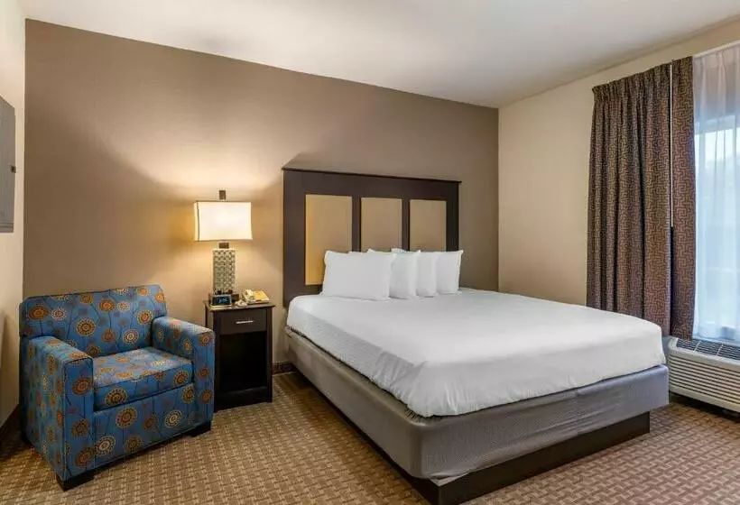 スイート, Stay Over Suites   Fort Gregg Adams Area