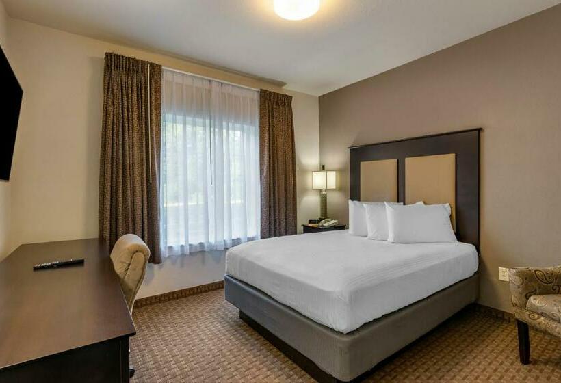 豪华套房, Stay Over Suites   Fort Gregg Adams Area