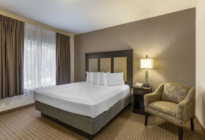 جناح ديلوكس, Stay Over Suites   Fort Gregg Adams Area