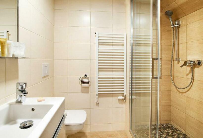 Standard Yhden Hengen Huone, U Hada žatec