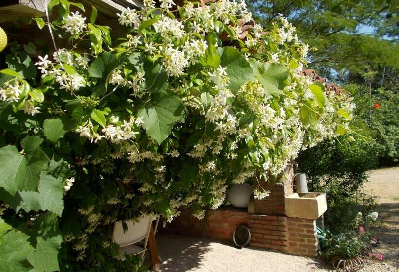 Номер Стандарт Вид на Сад, La Cassinette