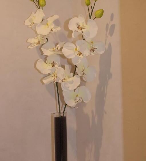 豪华套房, Le Clos Des Oiseaux