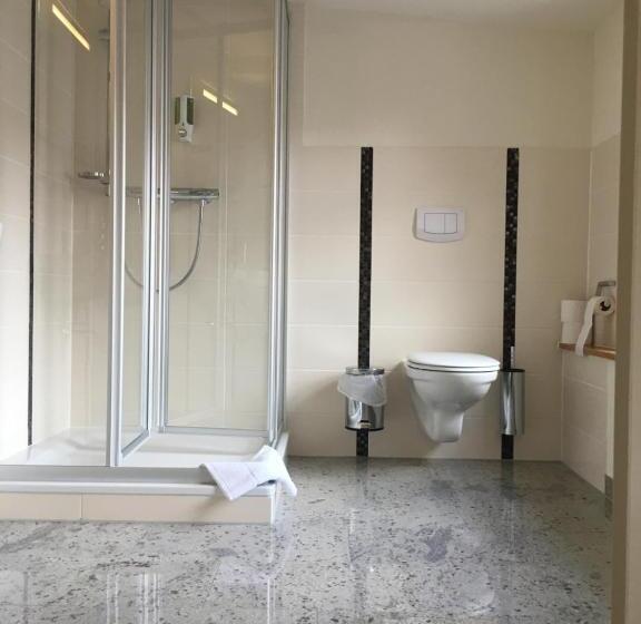 Номер Стандарт, Fachwerk Hotel Eisenbart