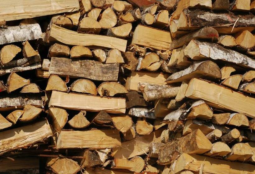 スタンダードルーム, Alpenhof