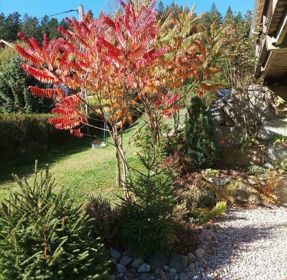 Camera Standard con Terrazza, L'eden De Floridylle