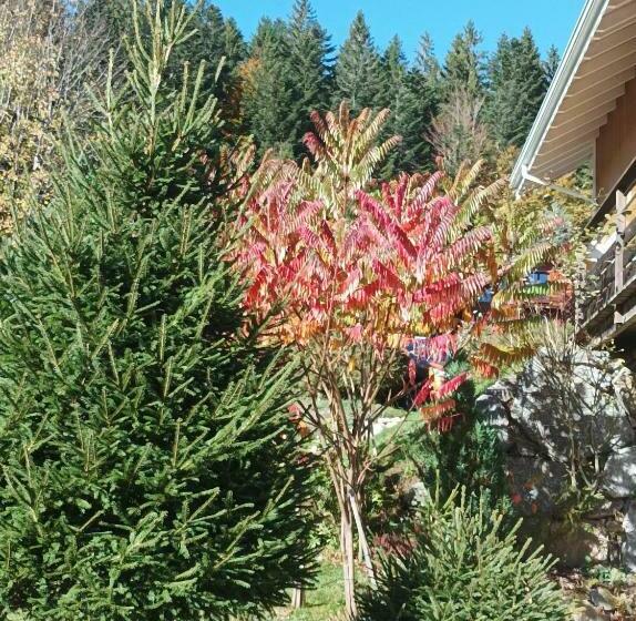 Camera Standard con Terrazza, L'eden De Floridylle