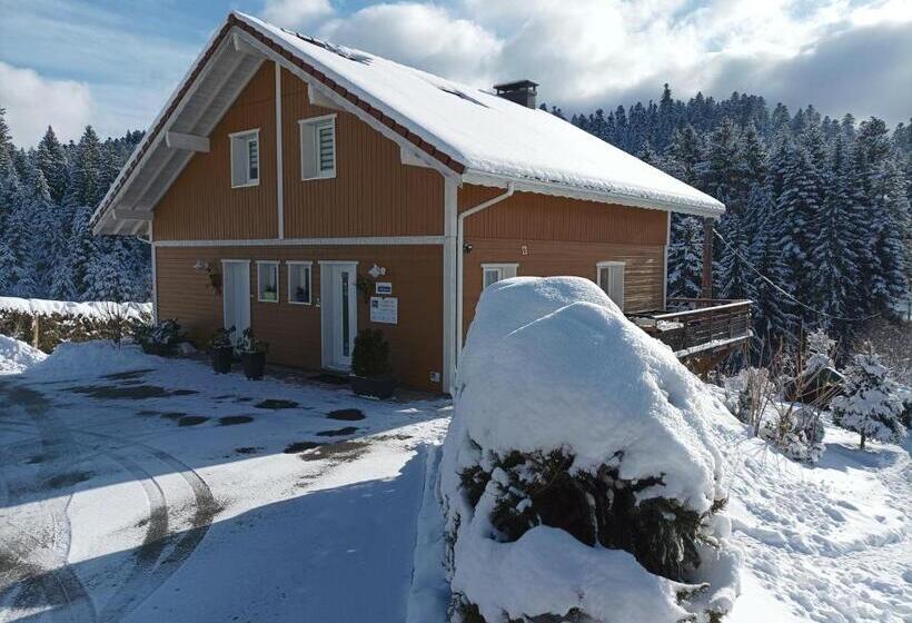 Camera Standard con Terrazza, L'eden De Floridylle