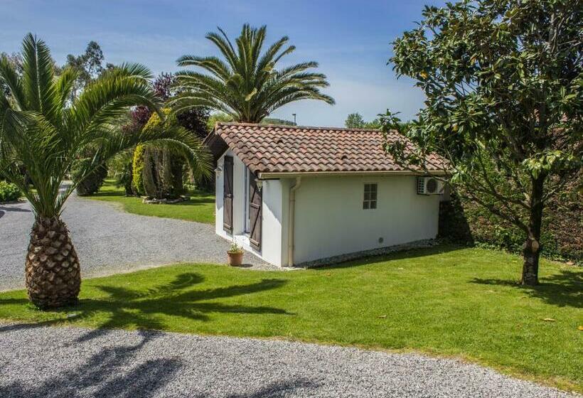 Номер Стандарт, Villa Yoda