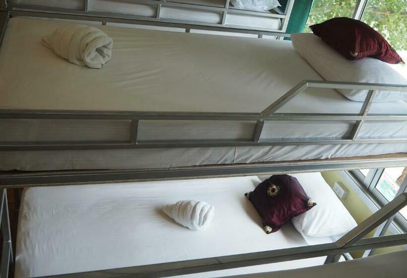 ルームシェアのワンベッド, Chaokoh Phi Phi Hostel