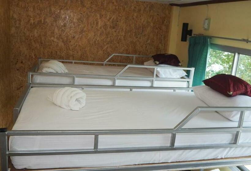 ルームシェアのワンベッド, Chaokoh Phi Phi Hostel