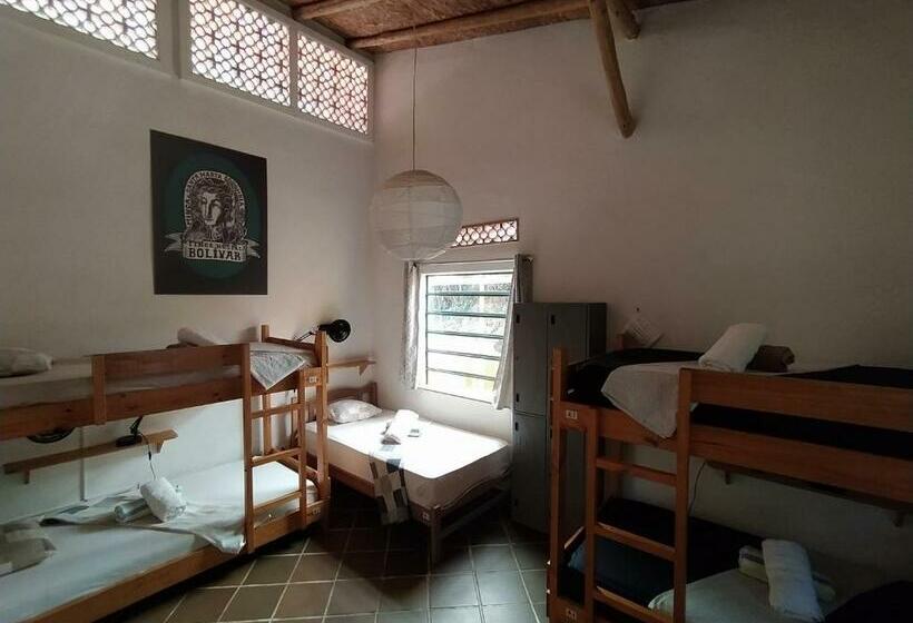 سرير فى غرفة مشتركه, Finca Hostal Bolivar   Casa Maracuya
