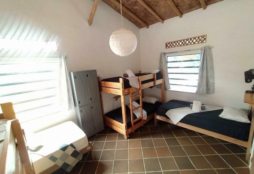 Кровать в Общей Комнате, Finca Hostal Bolivar   Casa Maracuya