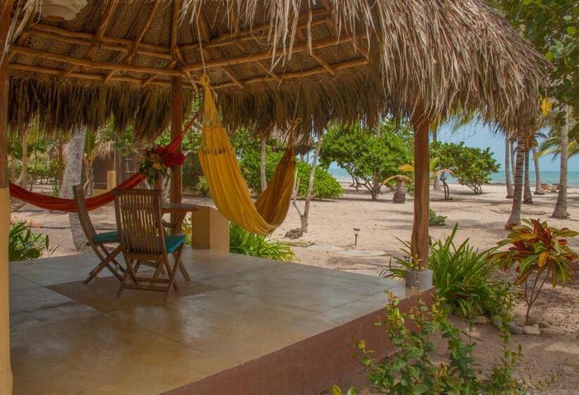 بانگلوی استاندارد, Aite Eco Resort