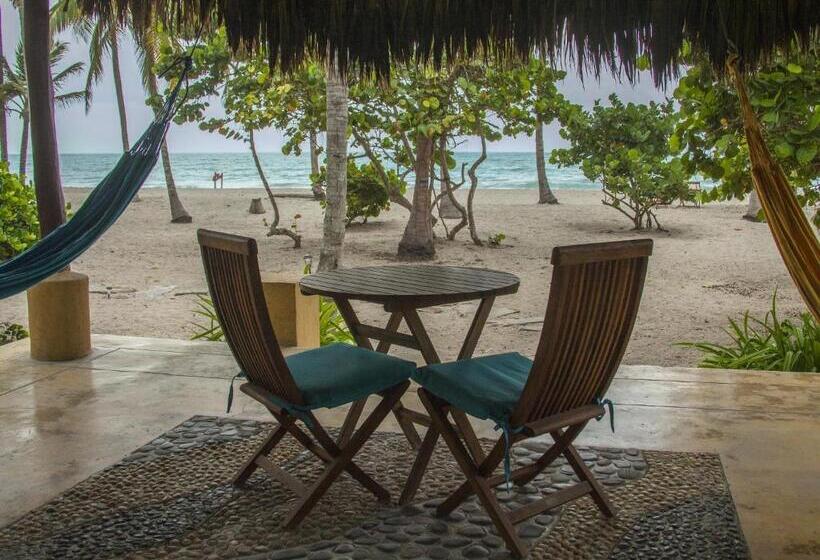스탠다드 방갈로, Aite Eco Resort