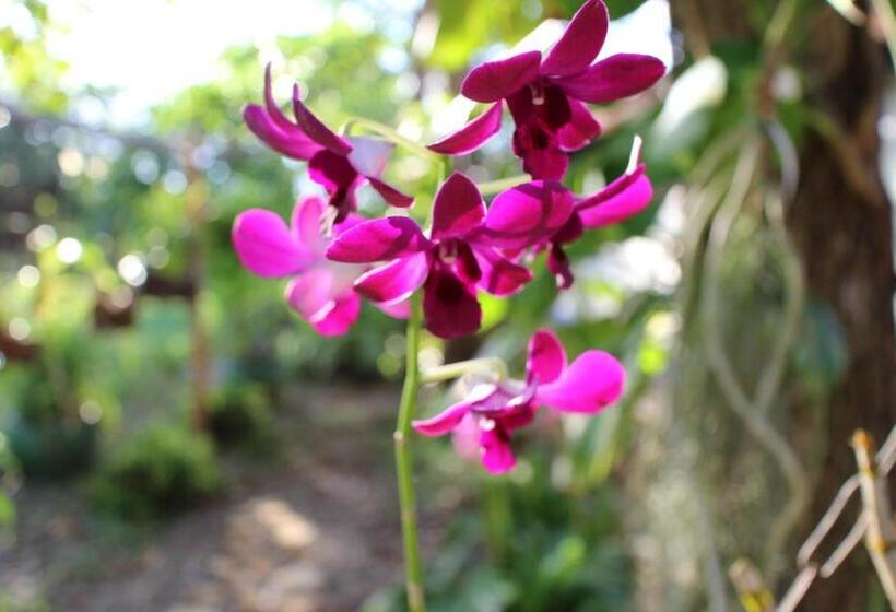 اتاق استاندارد با چشمانداز باغ, Aite Eco Resort