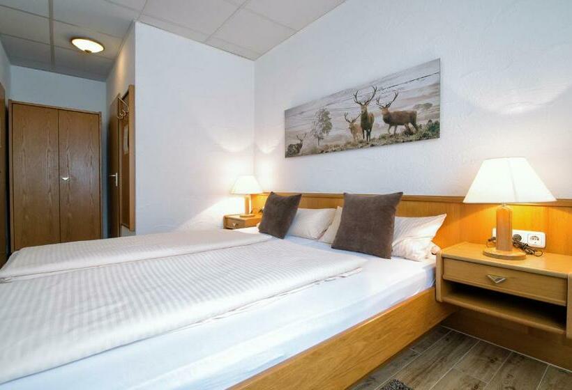 غرفة قياسية, Donnici Im Schwyzerhusli