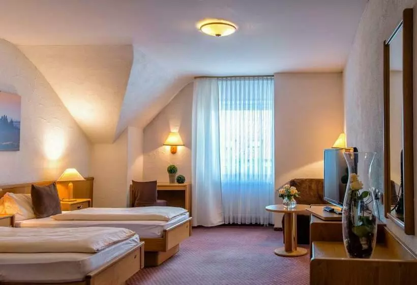スタンダードトリプルルーム, Donnici Im Schwyzerhusli