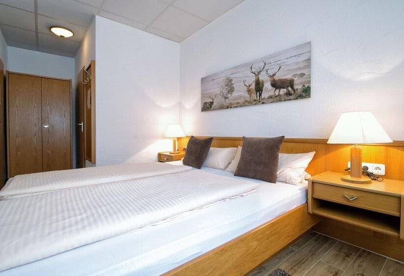 غرفة قياسية, Donnici Im Schwyzerhusli