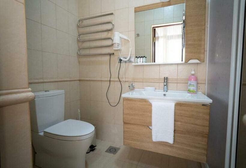 اتاق سوپریور, Leon Boutique