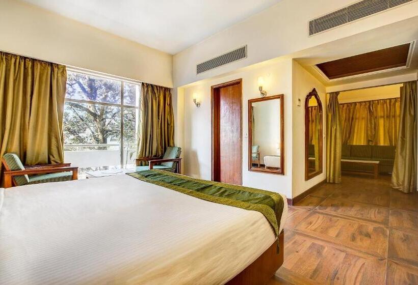 Номер Superior, Ajanta Continental