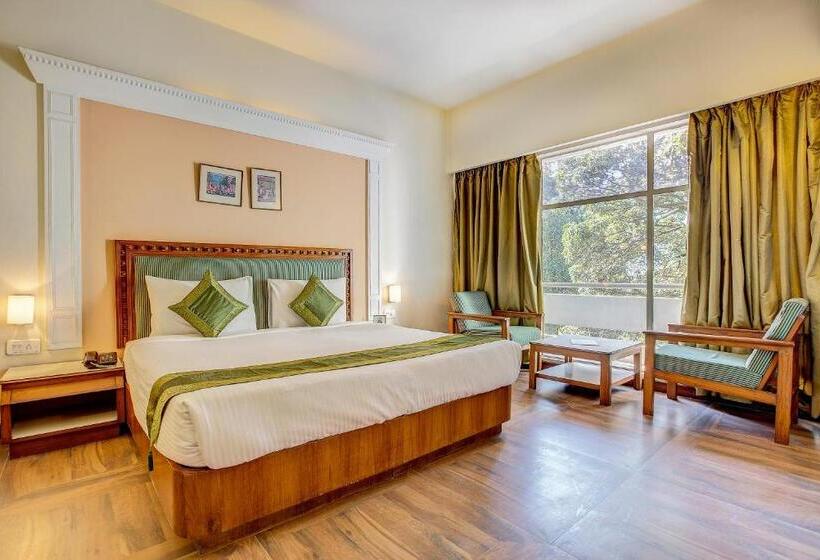 Номер Superior, Ajanta Continental
