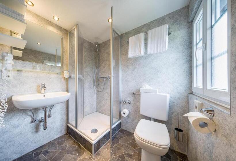 Quarto standart individual, Zum Löwen   Unteres Wirtshaus