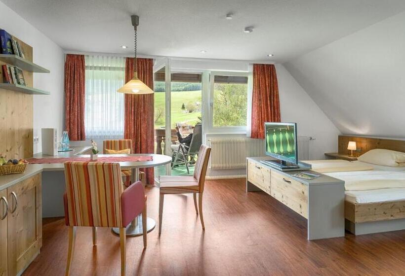 Apartamento 1 Quarto com Balcão, Zum Löwen   Unteres Wirtshaus