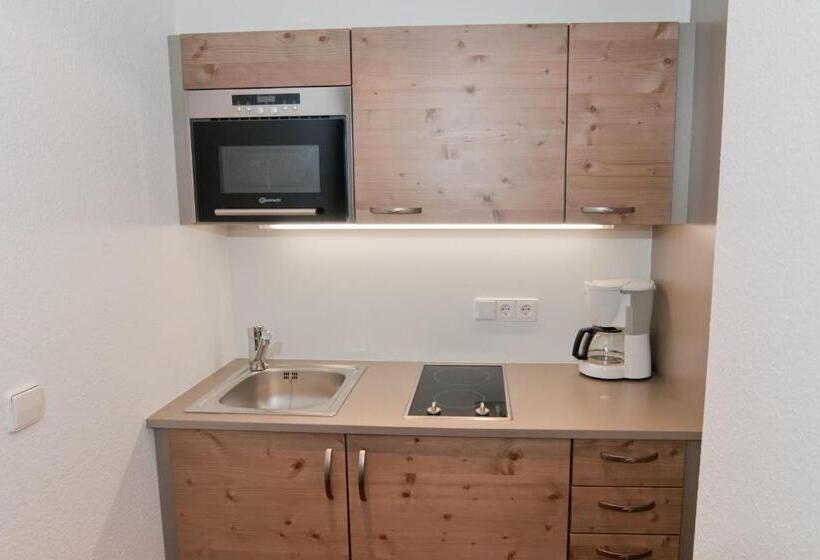 Apartamento 1 Quarto com Balcão, Zum Löwen   Unteres Wirtshaus