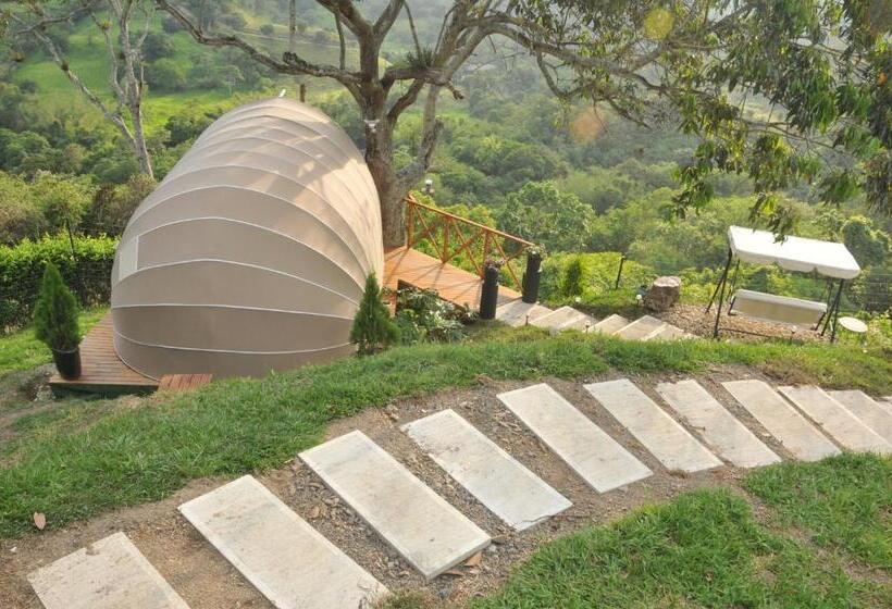 스탠다드 방갈로, Casa Ambrosia