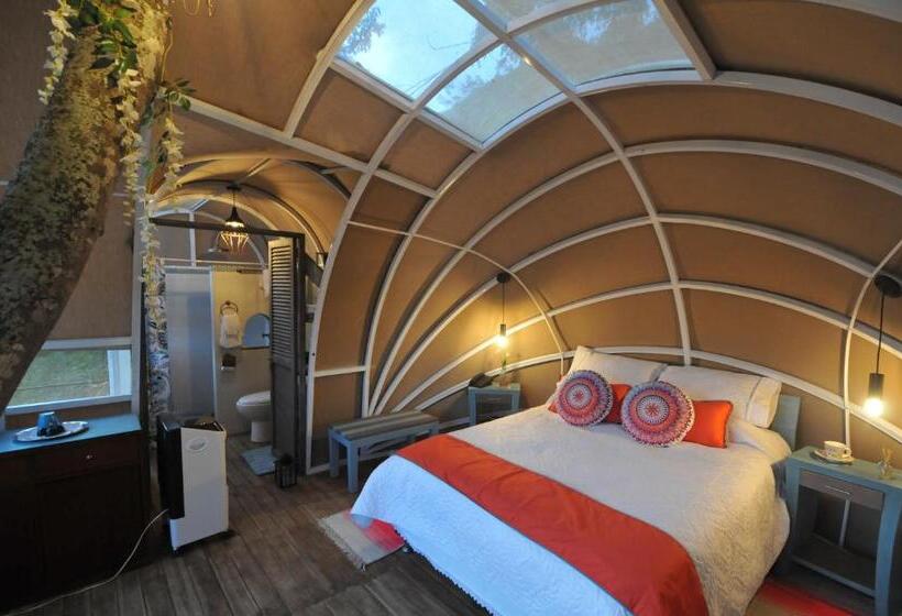 스탠다드 방갈로 정원 전망, Casa Ambrosia