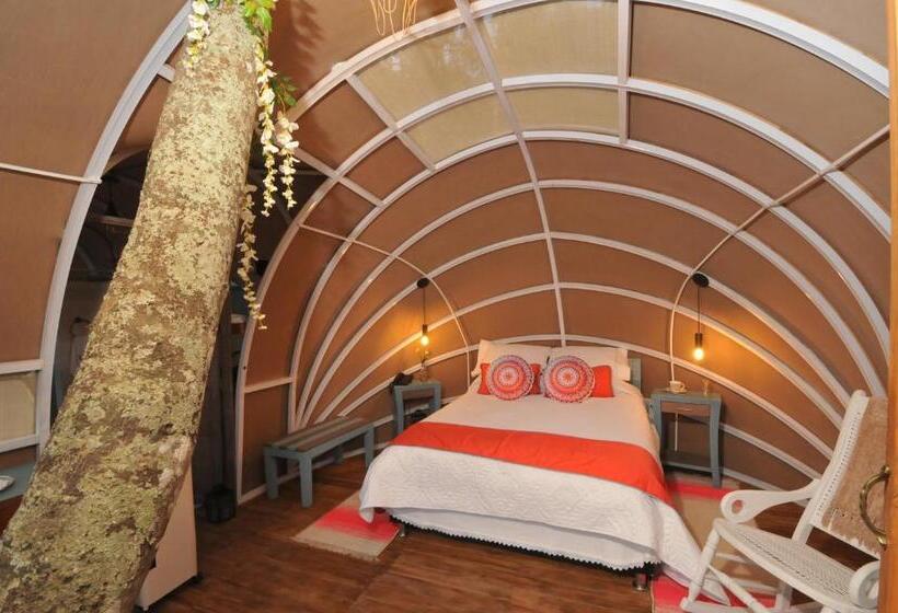 스탠다드 방갈로 정원 전망, Casa Ambrosia