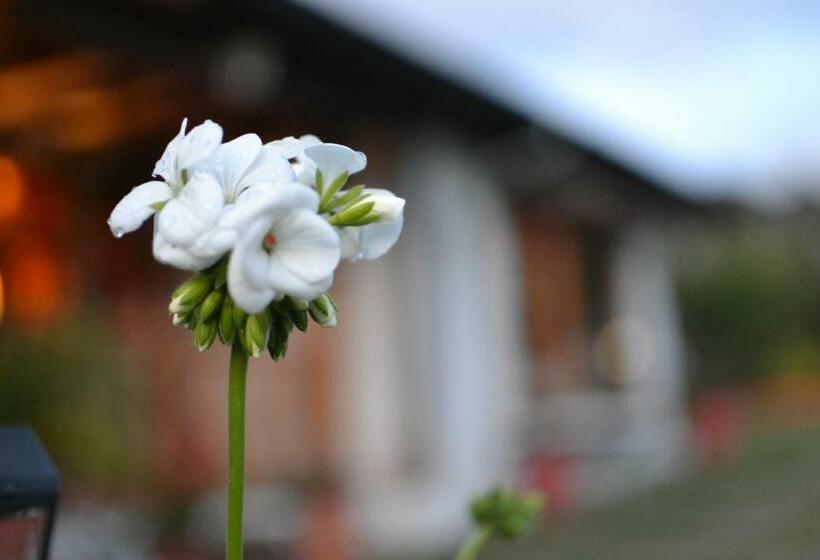 غرفة ديلوكس, Casa D Campo Tababela Hotel Boutique