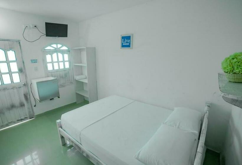 スタンダードルーム, Kevins