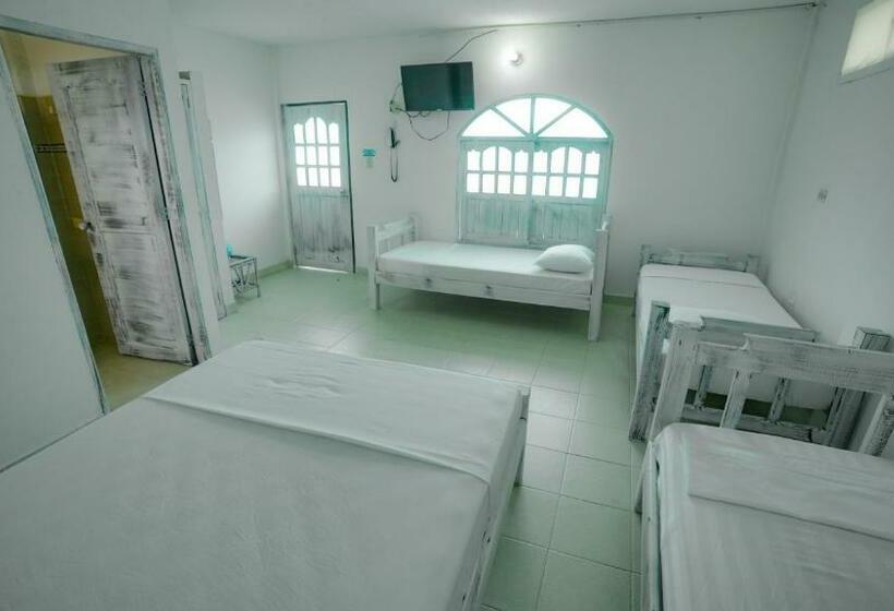 ファミリールーム, Kevins