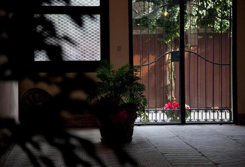 آپارتمان 3 خوابه, Le Case Cavallini Sgarbi Di Rina Cavallini