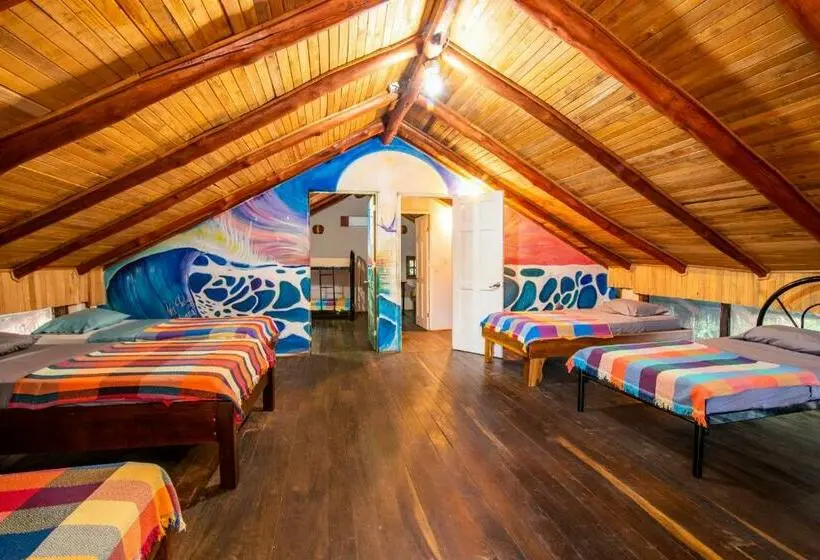 ルームシェアのワンベッド, Playa Grande Surf Camp