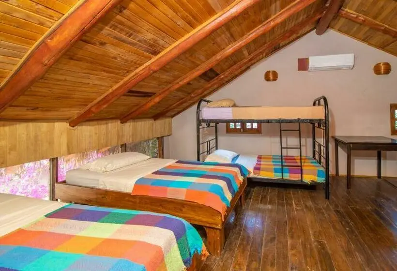 ルームシェアのワンベッド, Playa Grande Surf Camp