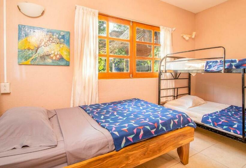 침실 2개 아파트, Playa Grande Surf Camp