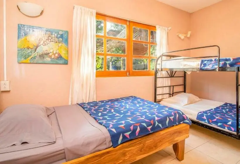 2ベッドルームアパートメント, Playa Grande Surf Camp