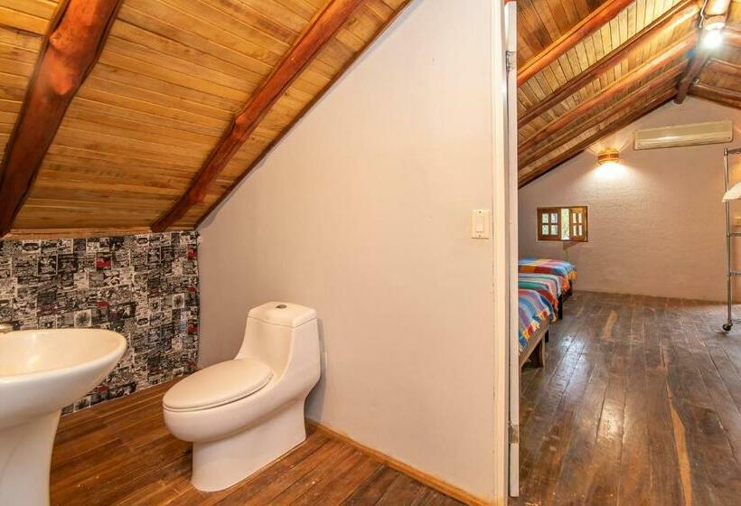 공동 객실, Playa Grande Surf Camp