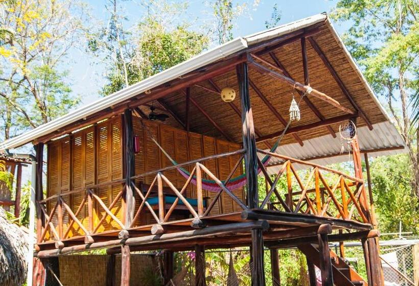 스탠다드 방갈로, Playa Grande Surf Camp