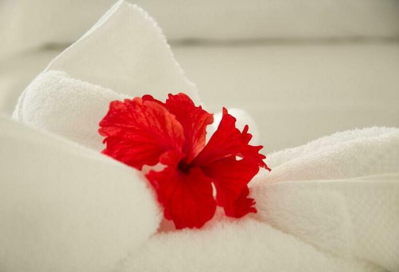 اتاق لوکس با چشمانداز باغ, Horizontes De Montezuma