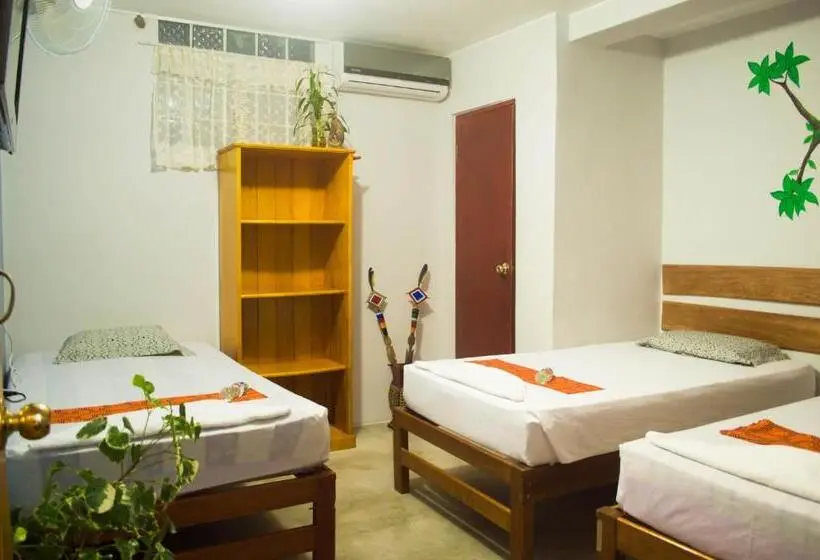 スタンダードトリプルルーム, Amazon House Hostel