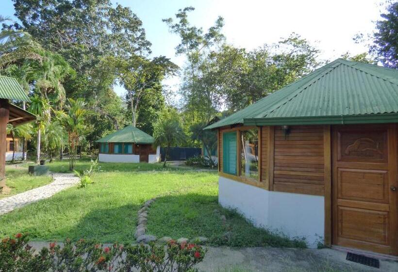 اتاق استاندارد, Corcovado Beach Lodge