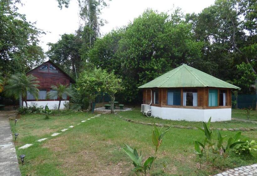 اتاق استاندارد, Corcovado Beach Lodge