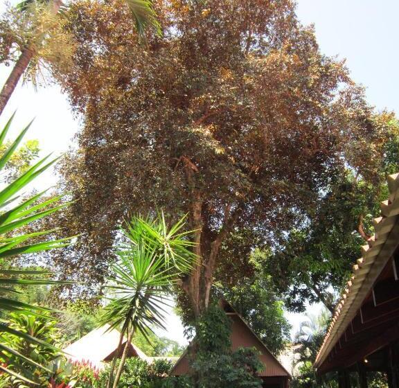 スタンダードルーム, El Paraiso Escondido   Costa Rica
