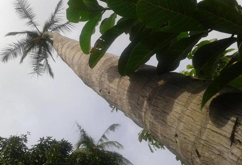 ファミリーステューディオ, El Paraiso Escondido   Costa Rica