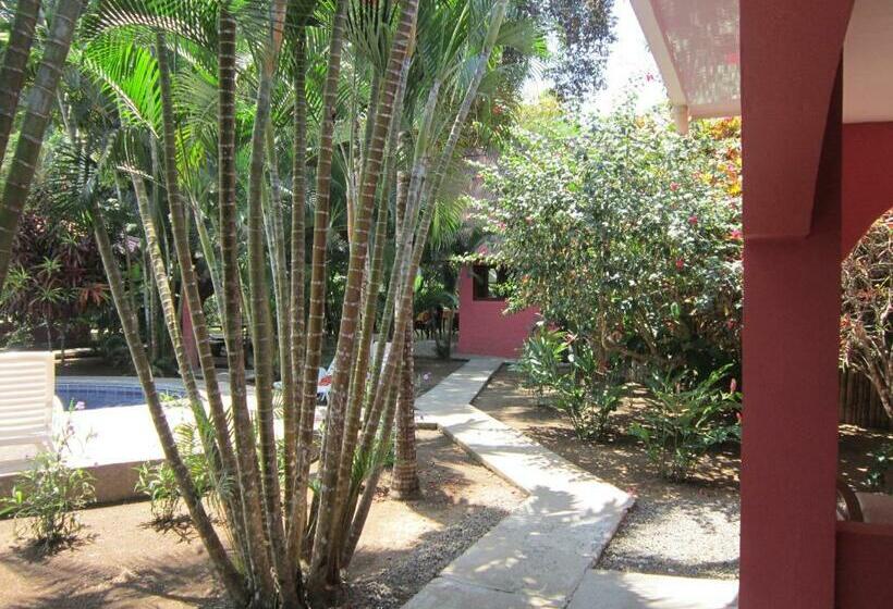 スタンダードスタジオ, El Paraiso Escondido   Costa Rica