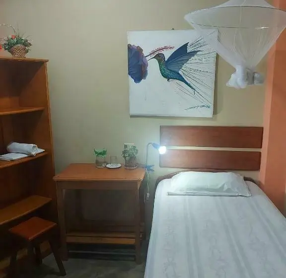 スタンダードシングルルーム, Amazon House Hostel