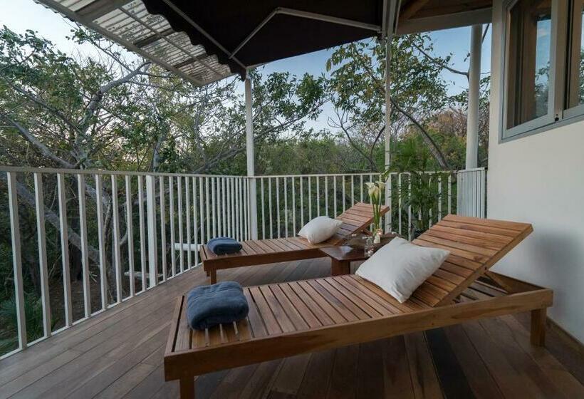 سوییت با چشم‌انداز دریا, Moana Surf Resort